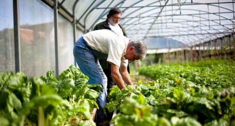 Potager composteur en bois associant espace de culture et compostage